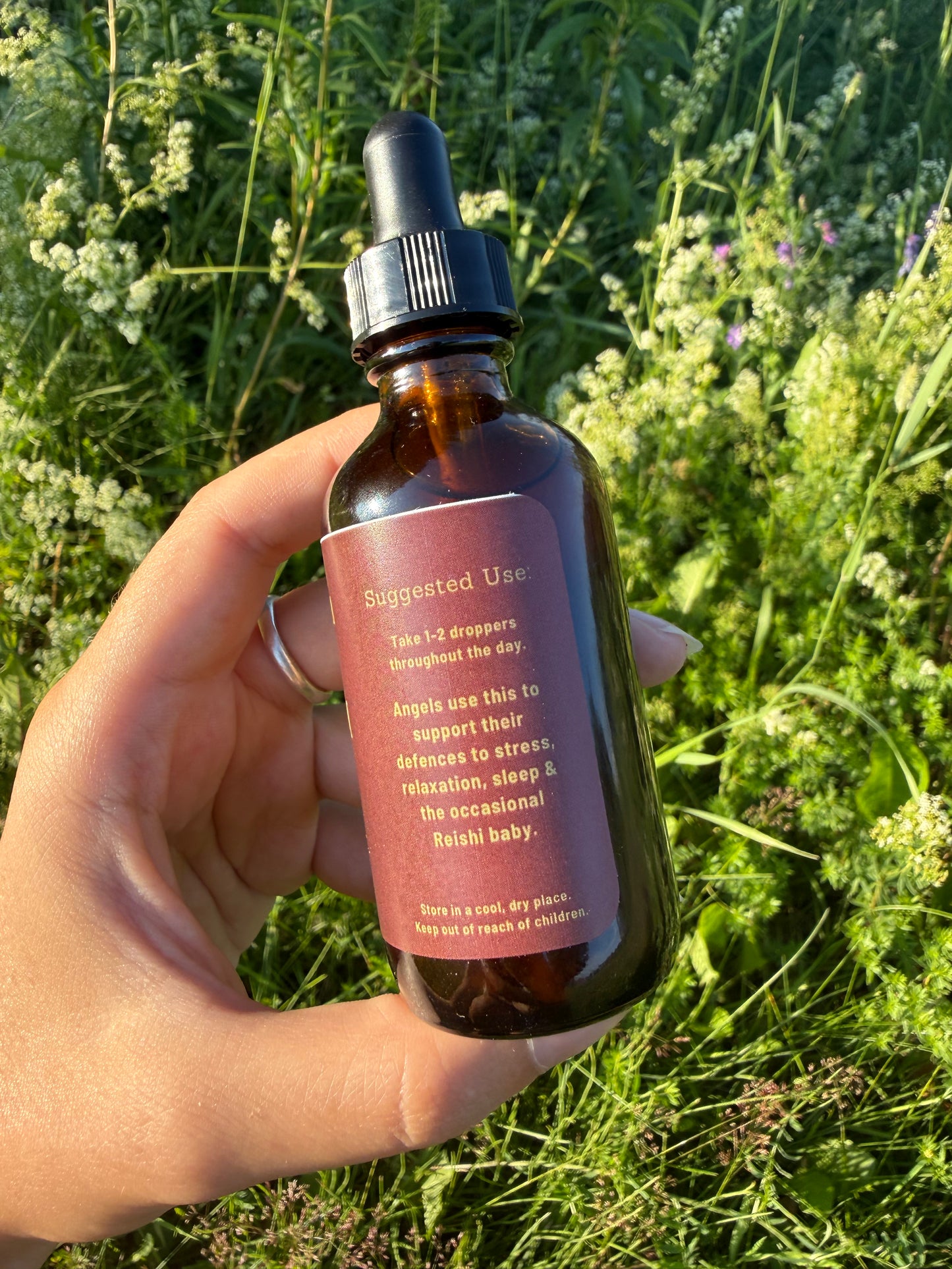 Reishi Triple Extraction Tincture