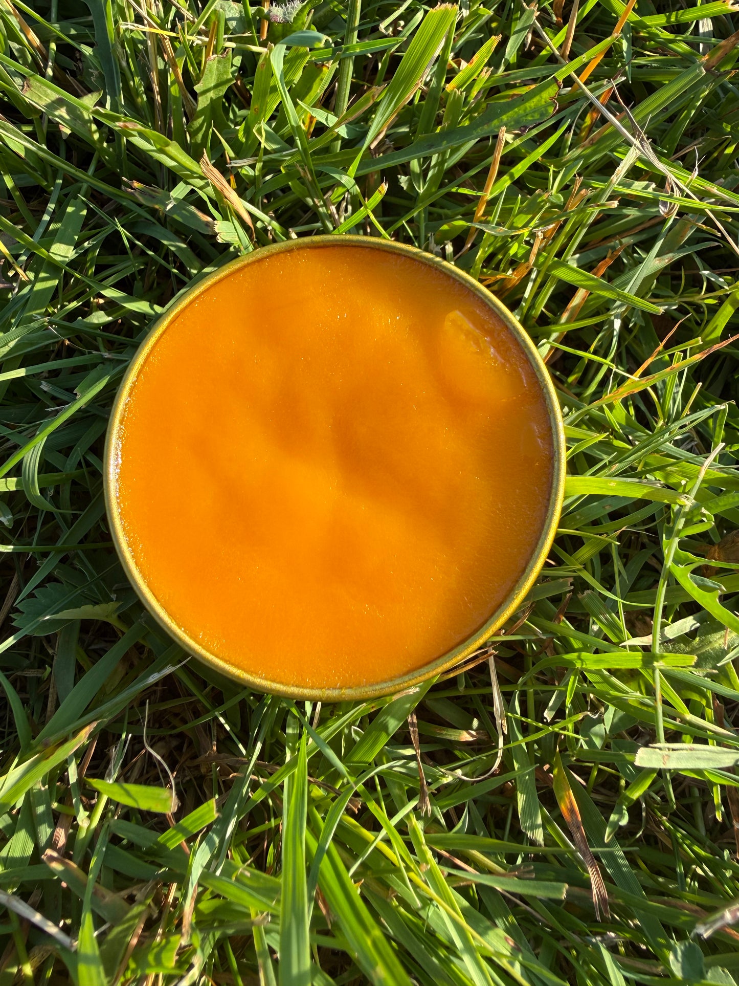 Vitamin Sea Salve