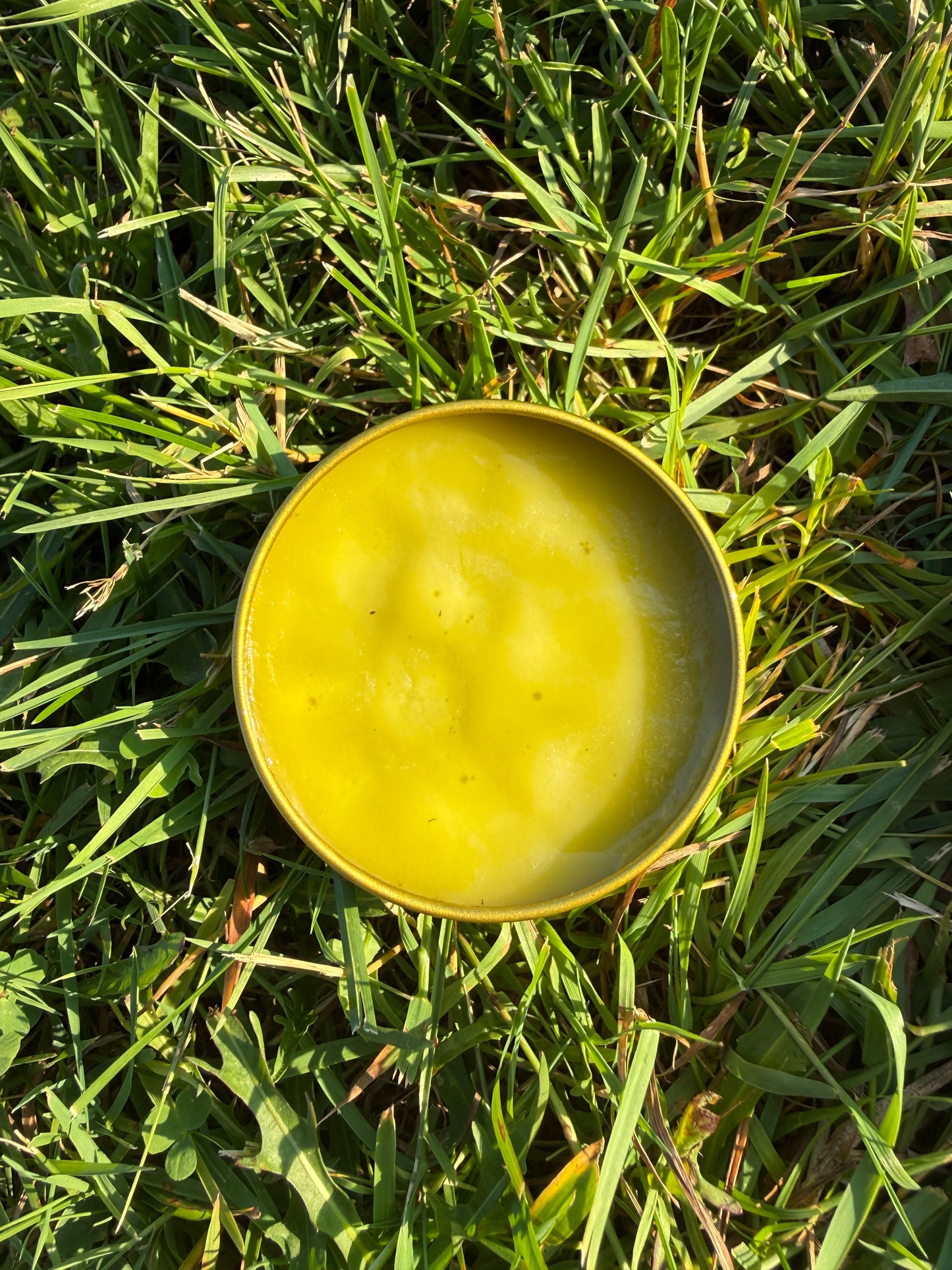 Herbal Harmony Salve
