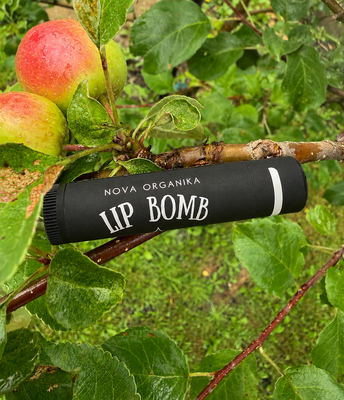 Lip Bomb Balm