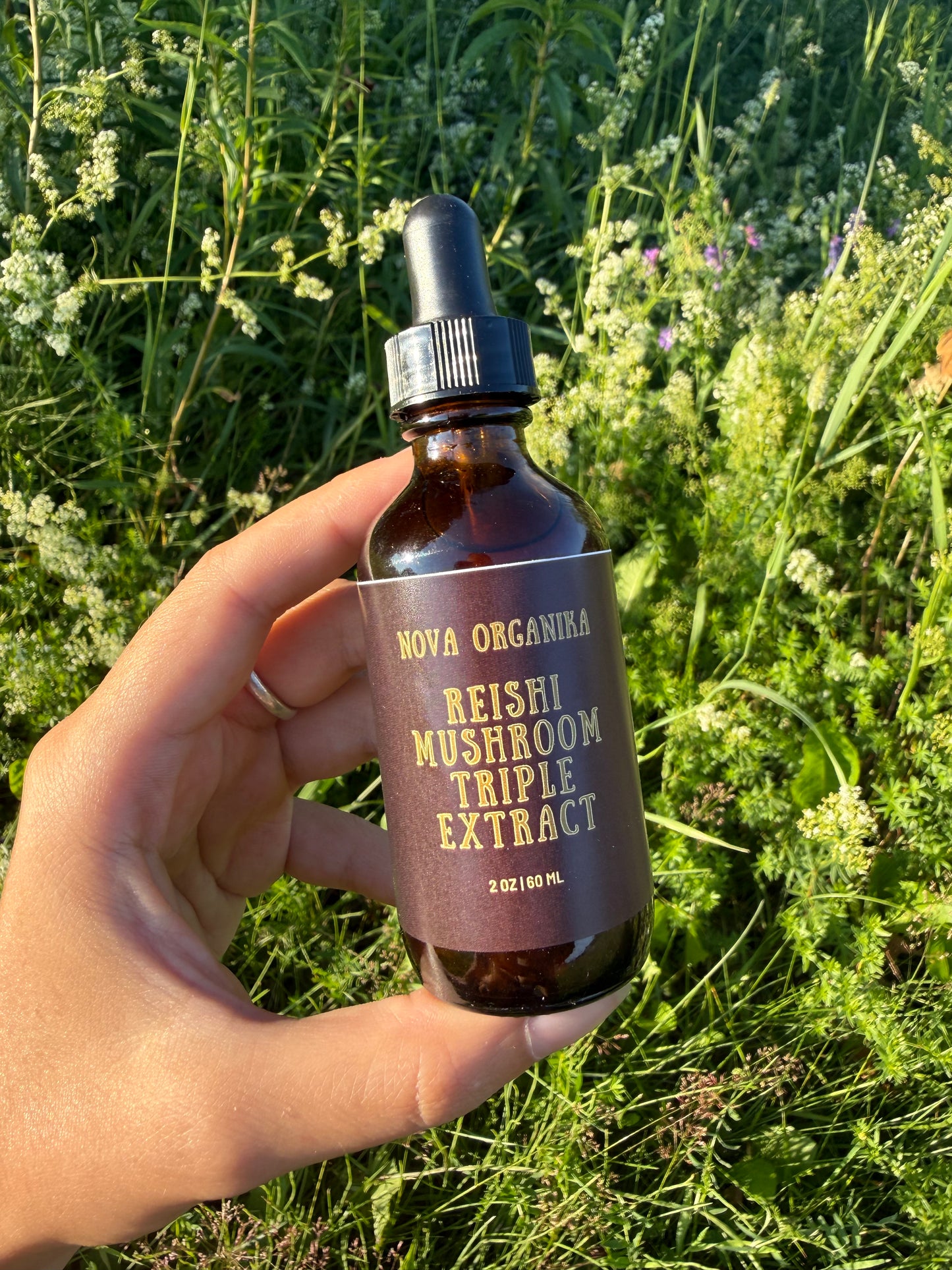 Reishi Triple Extraction Tincture