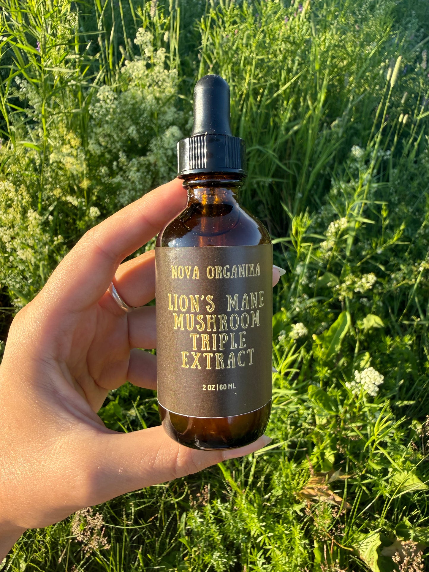 Lion's Mane Triple Extraction Tincture