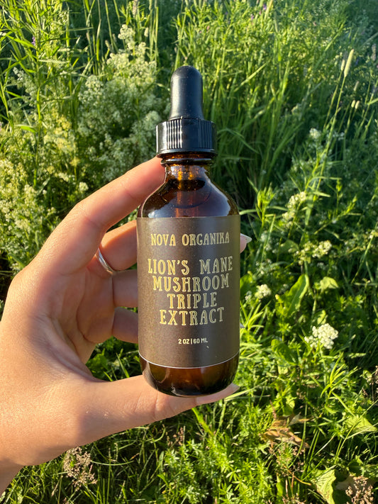 Lion's Mane Triple Extraction Tincture
