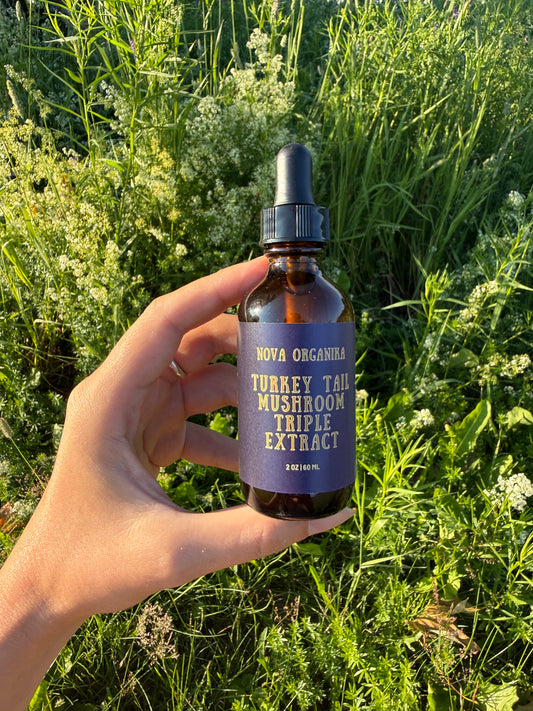 Turkey Tail Triple Extraction Tincture