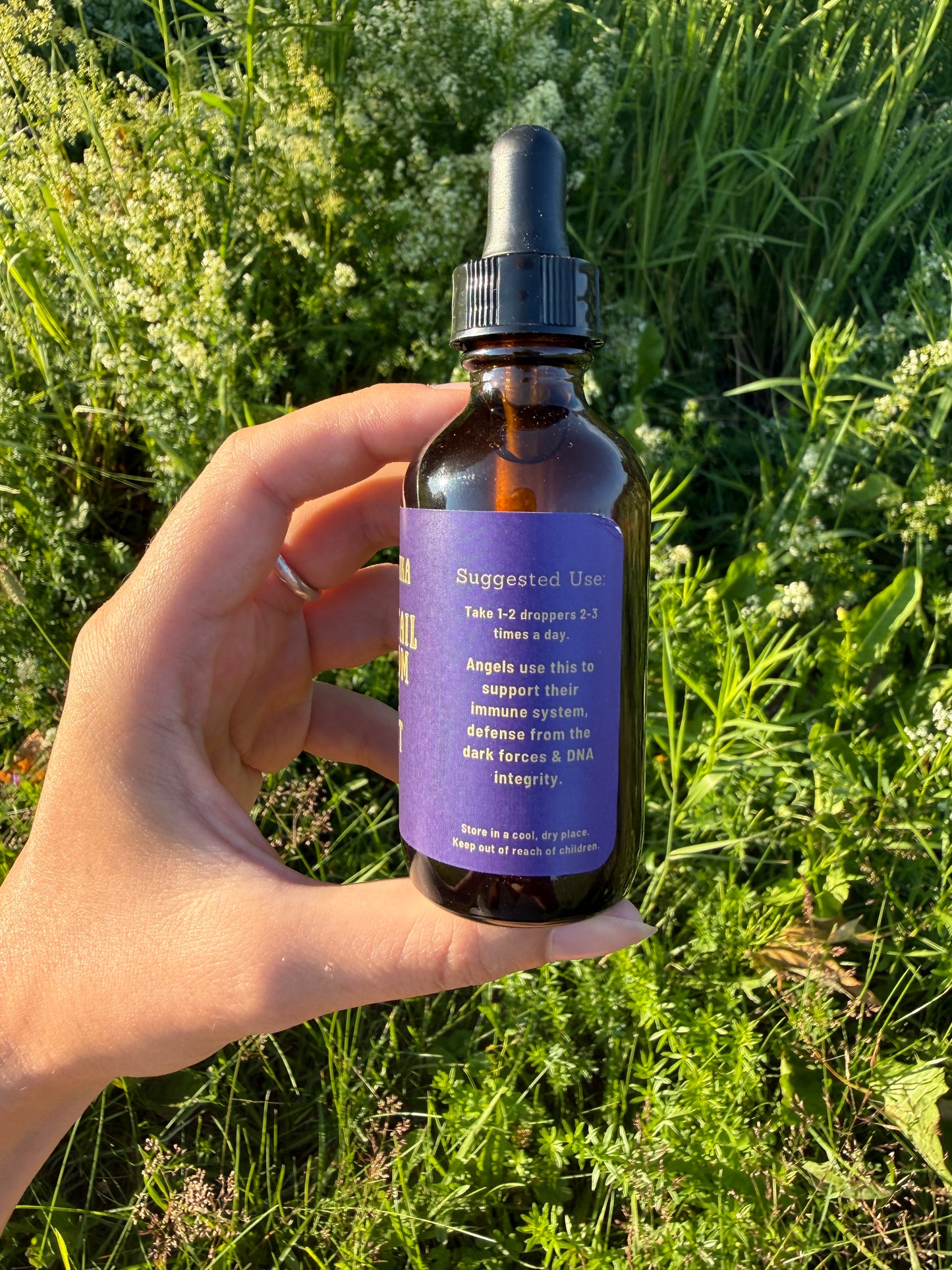 Turkey Tail Triple Extraction Tincture