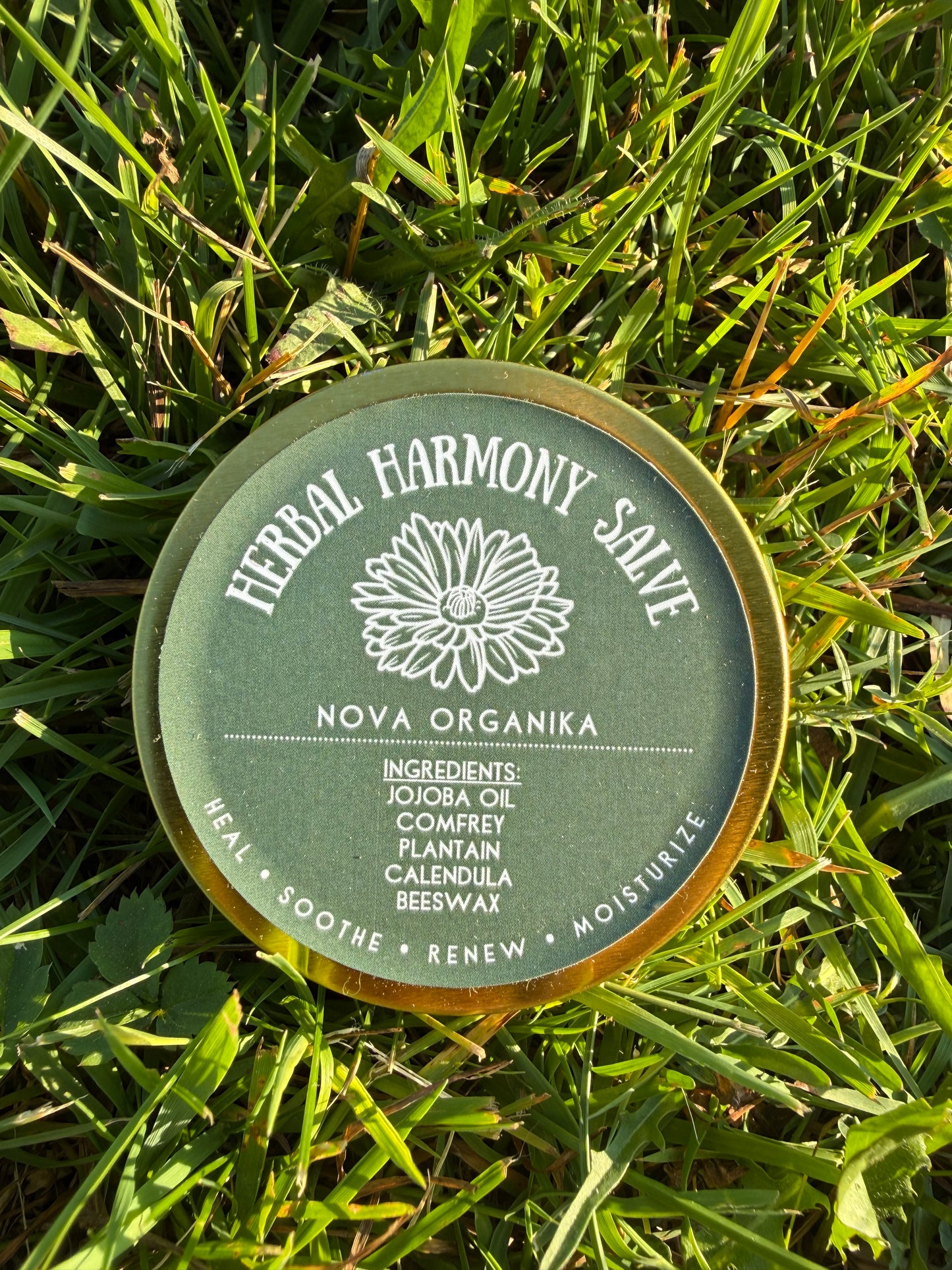 Herbal Harmony Salve